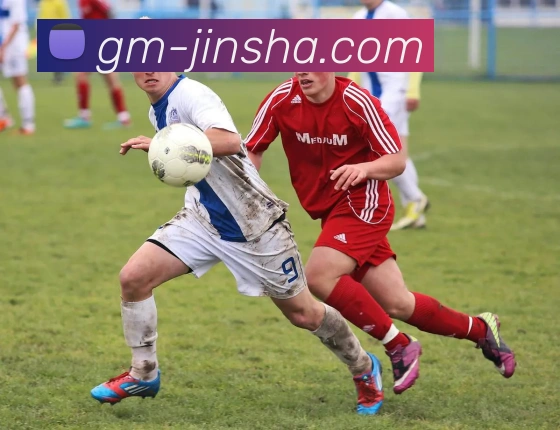 澳门金沙官网服务体系